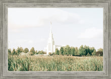 Load image into Gallery viewer, Sweet is The Work Twin Falls Idaho
