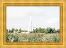 Load image into Gallery viewer, Sweet is The Work Twin Falls Idaho
