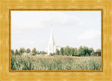 Load image into Gallery viewer, Sweet is The Work Twin Falls Idaho