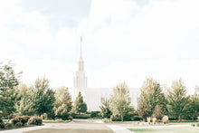Load image into Gallery viewer, Twin Falls Idaho Immaculate Embrace