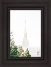Load image into Gallery viewer, Twin Falls Idaho Celestial View