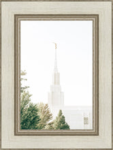 Load image into Gallery viewer, Twin Falls Idaho Celestial View