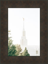 Load image into Gallery viewer, Twin Falls Idaho Celestial View