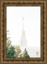 Load image into Gallery viewer, Twin Falls Idaho Celestial View