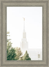Load image into Gallery viewer, Twin Falls Idaho Celestial View