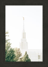 Load image into Gallery viewer, Twin Falls Idaho Celestial View