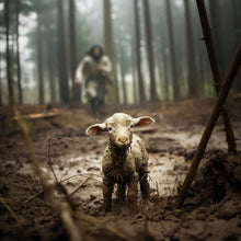 Load image into Gallery viewer, The Good Shepherd is on the Way