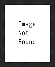 Load image into Gallery viewer, Burley Idaho Love of Our Father