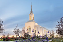 Load image into Gallery viewer, Burley Idaho Calm Covenant Path