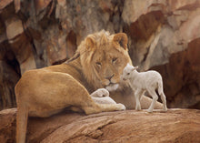 Load image into Gallery viewer, The Lion and The Lamb