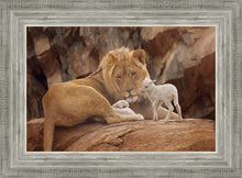 Load image into Gallery viewer, The Lion and The Lamb