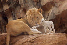 Load image into Gallery viewer, The Lion and The Lamb