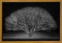 Load image into Gallery viewer, Winter Wonderland