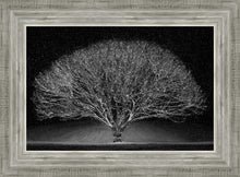 Load image into Gallery viewer, Winter Wonderland