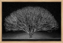 Load image into Gallery viewer, Winter Wonderland
