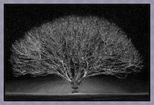 Load image into Gallery viewer, Winter Wonderland