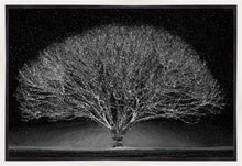 Load image into Gallery viewer, Winter Wonderland