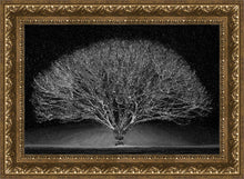 Load image into Gallery viewer, Winter Wonderland