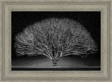 Load image into Gallery viewer, Winter Wonderland