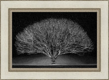 Load image into Gallery viewer, Winter Wonderland