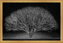 Load image into Gallery viewer, Winter Wonderland