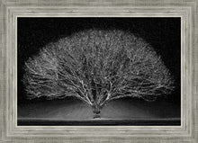 Load image into Gallery viewer, Winter Wonderland