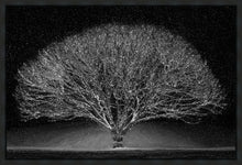 Load image into Gallery viewer, Winter Wonderland
