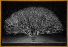 Load image into Gallery viewer, Winter Wonderland