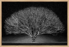 Load image into Gallery viewer, Winter Wonderland