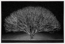 Load image into Gallery viewer, Winter Wonderland