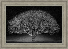 Load image into Gallery viewer, Winter Wonderland
