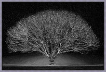 Load image into Gallery viewer, Winter Wonderland
