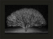 Load image into Gallery viewer, Winter Wonderland