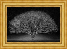 Load image into Gallery viewer, Winter Wonderland