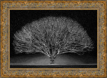 Load image into Gallery viewer, Winter Wonderland
