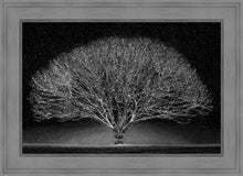 Load image into Gallery viewer, Winter Wonderland