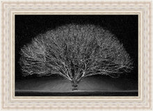 Load image into Gallery viewer, Winter Wonderland