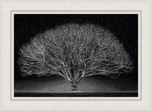 Load image into Gallery viewer, Winter Wonderland