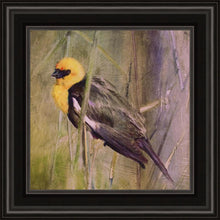 Load image into Gallery viewer, Yellow Headed Black Bird