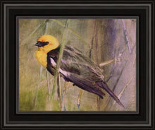 Load image into Gallery viewer, Yellow Headed Black Bird