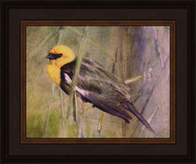 Load image into Gallery viewer, Yellow Headed Black Bird