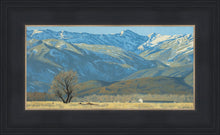 Load image into Gallery viewer, Midway Vista