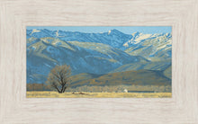 Load image into Gallery viewer, Midway Vista