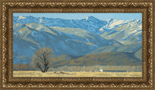 Load image into Gallery viewer, Midway Vista