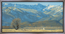 Load image into Gallery viewer, Midway Vista