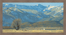 Load image into Gallery viewer, Midway Vista