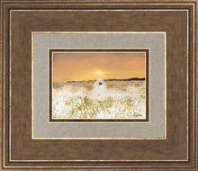Load image into Gallery viewer, He Has Come