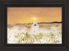 Load image into Gallery viewer, He Has Come