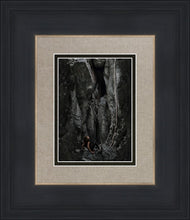 Load image into Gallery viewer, At Rock Bottom