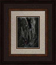 Load image into Gallery viewer, At Rock Bottom